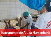 3.5 Instrumento de Ajuda Humanitária