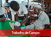 4.3 Trabalho de Campo 4.3 Trabalho de Campo