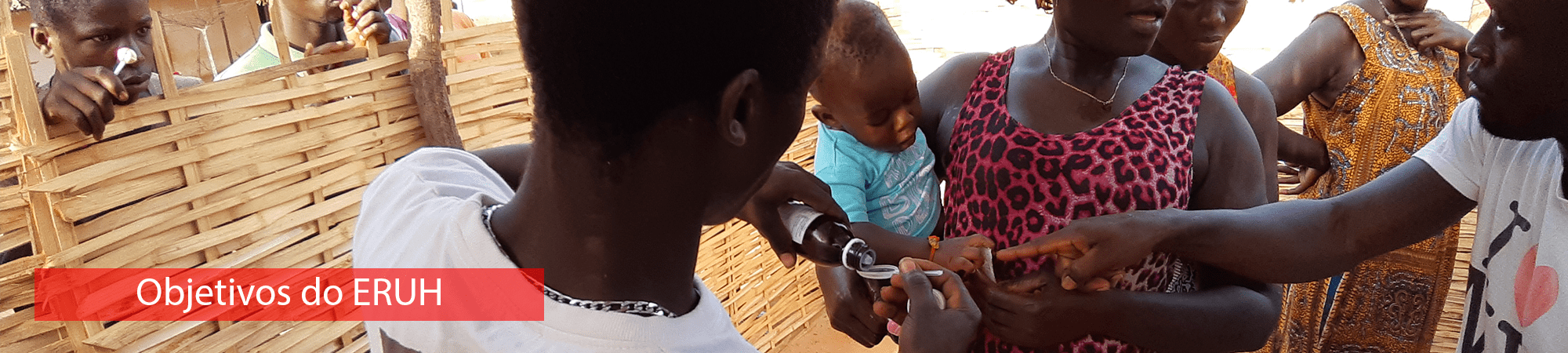 3.1L Objetivos do ERUH 3.1L Objetivos do ERUH